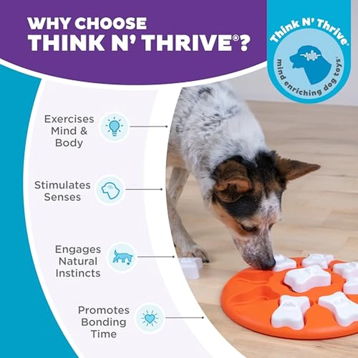 Outward Hound by Nina Ottosson Dog Smart Treat Puzzle Enrichment Toy, Level 1 Beginner, Orange by Outward Hound - Image 6
