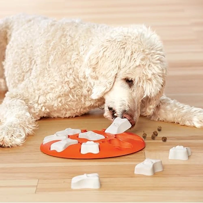 Outward Hound by Nina Ottosson Dog Smart Treat Puzzle Enrichment Toy, Level 1 Beginner, Orange by Outward Hound - Image 8