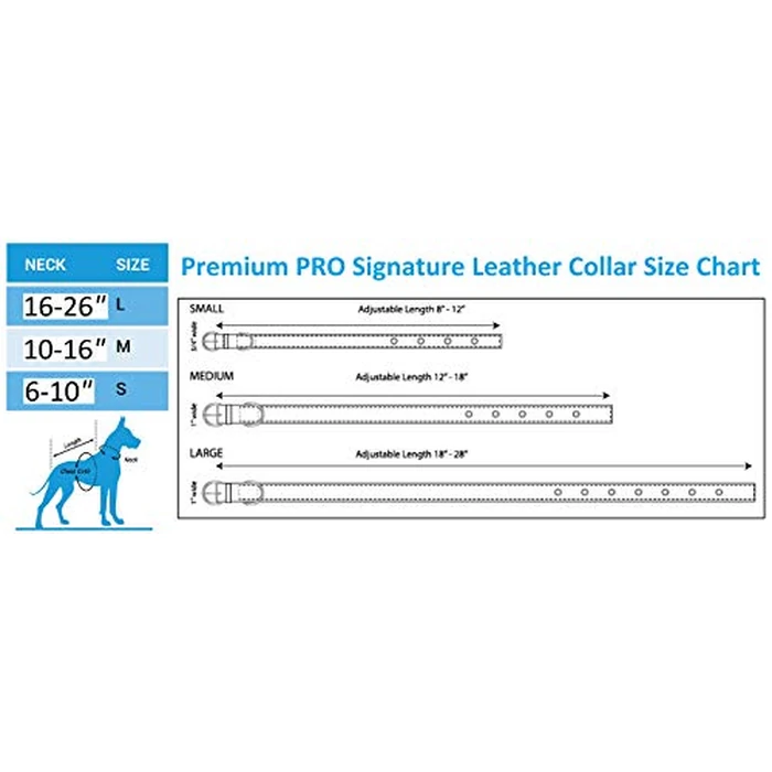 Pets First Tough Leather Pet Collar NFL Seattle Seahawks Premium Dog Collar, Limited Edition, Size Medium. Best & Strongest Heavy-Duty Dog Collar!, Medium (16-20"" Long & 1"" Wide) (SEA-3081-MD) by Pets First - Image 7