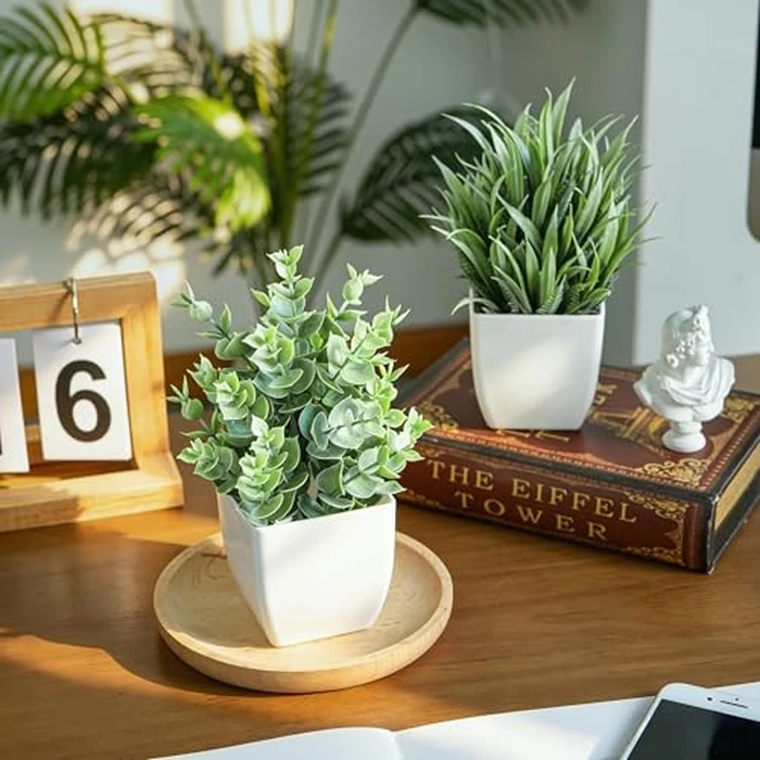 Der Rose 2 Pack Small Fake Plants Mini Artificial Potted Plants for Table Desk Home Laundry Room Bathroom Office Decor by Der Rose - Image 5