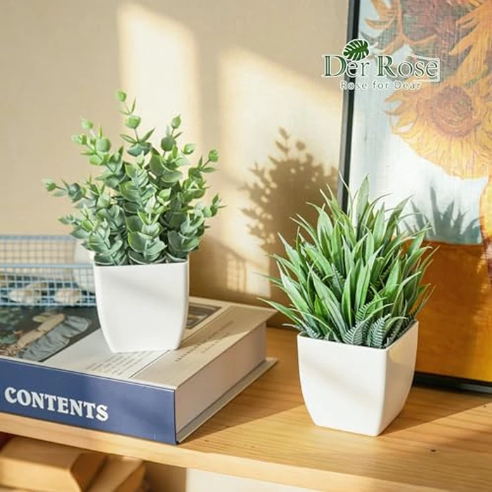 Der Rose 2 Pack Small Fake Plants Mini Artificial Potted Plants for Table Desk Home Laundry Room Bathroom Office Decor by Der Rose - Image 7