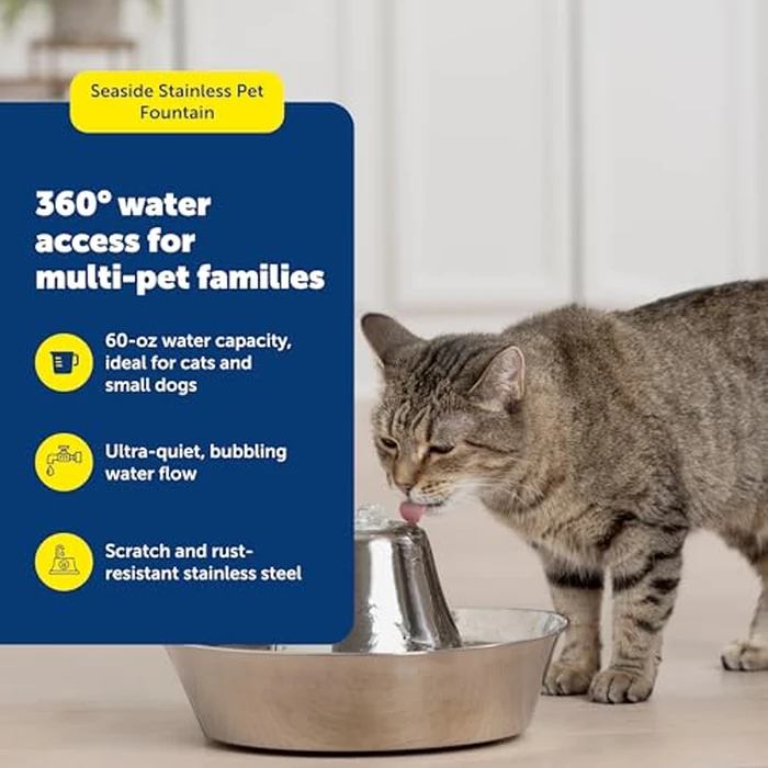 PetSafe Seaside Stainless Steel Cat & Dog Fountain, 60 Oz Water Capacity - 2 Water Filters & 1 Pump Included, Soothing Flow for Pets, Scratch-and Rust-Resistant Material - Quiet Motor by PetSafe - Image 4
