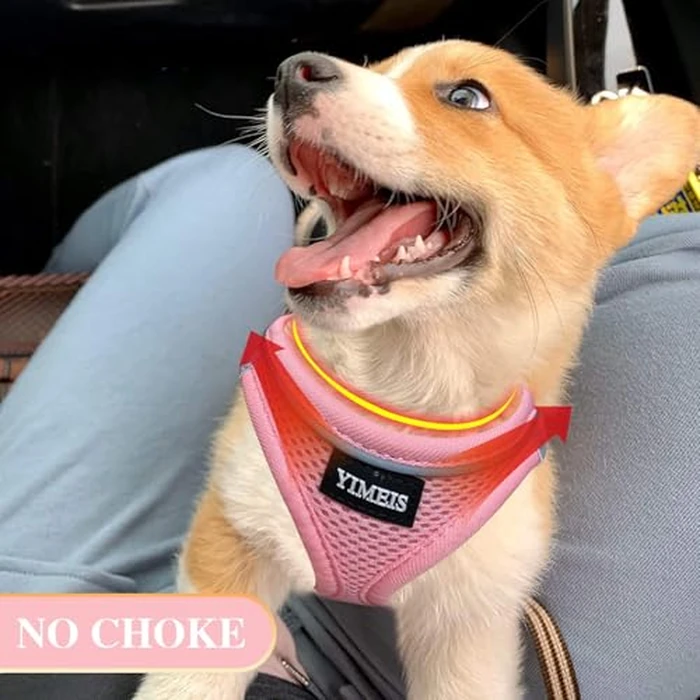 YIMEIS Dog Harness and Leash Set, No Pull Soft Mesh Pet Harness, Reflective Adjustable Puppy Vest for Small Medium Large Dogs, Cats (Pink, Medium) by YIMEIS - Image 2