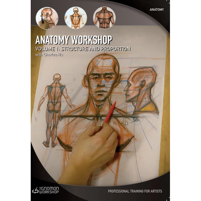 Anatomy Workshop: Volume One - Structure and Proportion by LONGXTX - Used - Like New condition