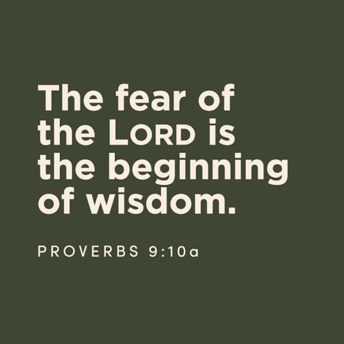 The Way of Wisdom - Bible Study for Women with Video Access: A Study of the Book of Proverbs by Lifeway Press - Image 6