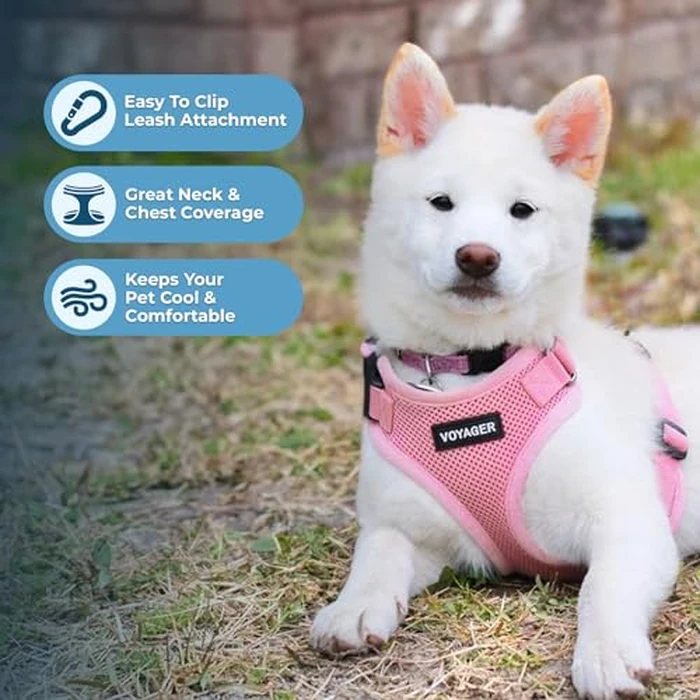 Voyager Step-in Lock Pet Harness - All Weather Mesh, Adjustable Step in Harness for Cats and Dogs by Best Pet Supplies - Pink, XL by Best Pet Supplies - Image 3