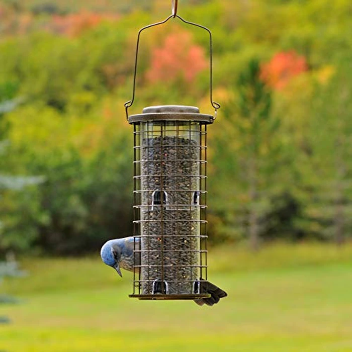 Perky-Pet 114 Squirrel Stumper Wild Bird Feeder by Perky-Pet - Image 7