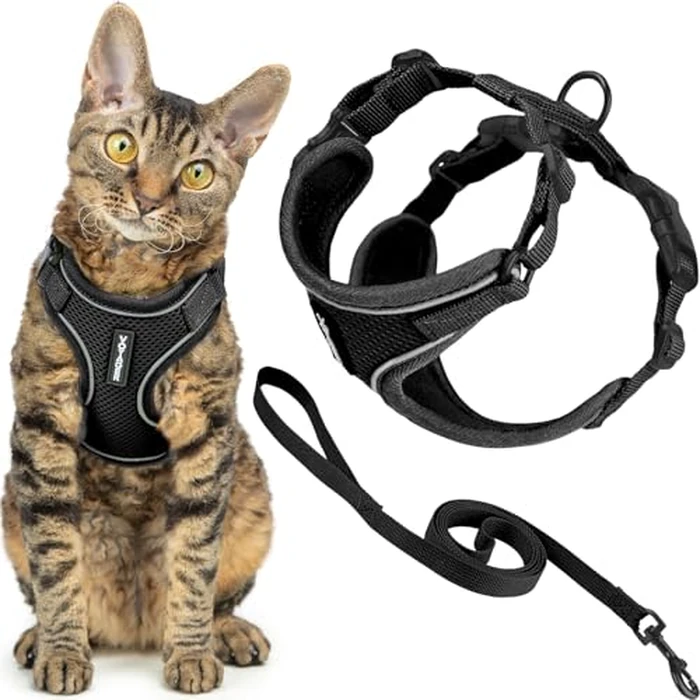Voyager Escape-Proof Step-in Lock Cat Harness & 5ft Neoprene-Handle Leash Set All-Weather Mesh with Reflective Stitching for Small to Large Cats by Best Pet Supplies, Black (327), XS by Best Pet Supplies - Image 1