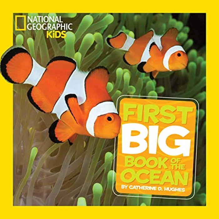 National Geographic Little Kids First Big Book of the Ocean by National Geographic Kids - Used - Very Good condition - CA$14.50