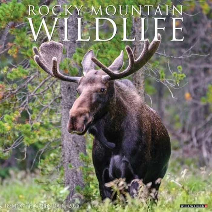 Rocky Mountain Wildlife 2025 12" x 12" Wall Calendar by WILLOW CREEK - Used - Very Good condition