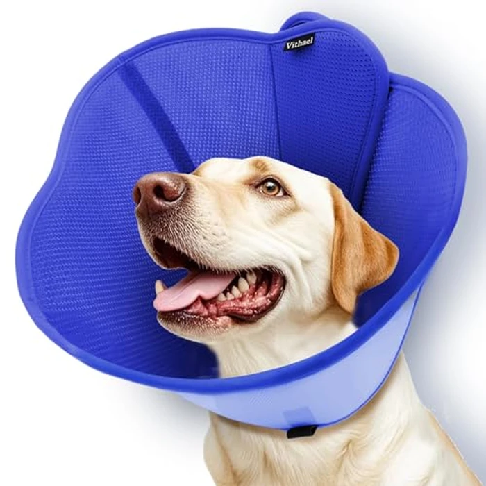 Vithael Upgraded Dog Cone Collar for Large Medium Dogs, Soft Dog Cone with Double-Layer Design, Adjustable Pet Recovery Collar for Dogs After Surgery, Elizabethan Collar (L, Blue) by Vithael - Used - Very Good condition