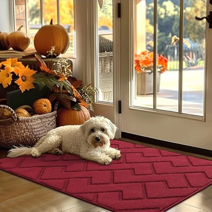 hicorfe Indoor Doormat,Front Back Door Mat Rubber Backing Non Slip Door Mats 32"x48" Low-Profile Absorbent Resist Dirt Entrance Doormat Inside Floor Mats for Entryway Wash(Red) by hicorfe - Used - Very Good condition - CA$31.78