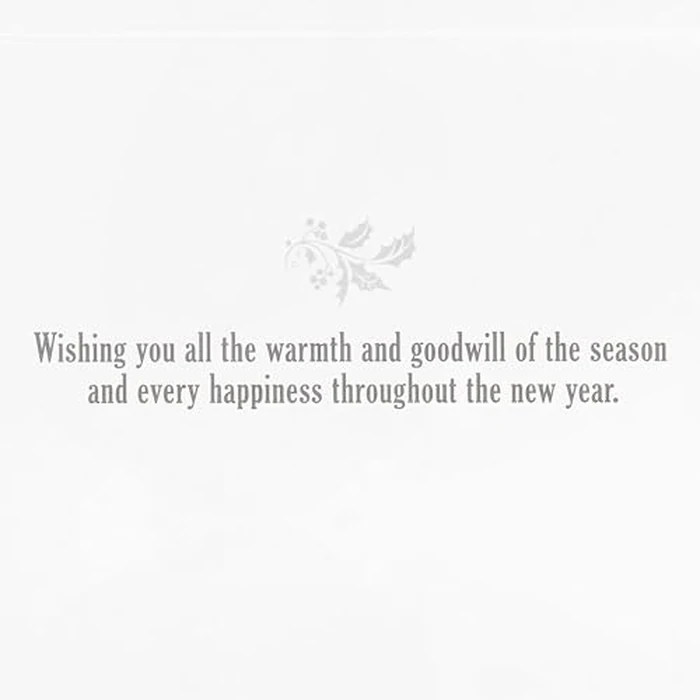 Hallmark Boxed Holiday Cards (Every Happiness, 16 Christmas Cards and 17 Envelopes) by Hallmark - Image 5