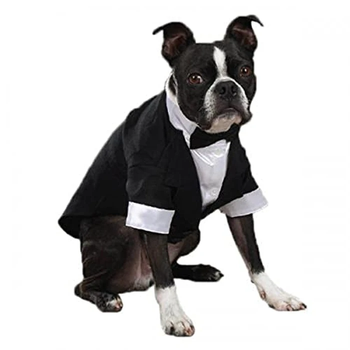 East Side Collection Polyester/Cotton Yappily Ever After Dog Groom Tuxedo, Small, 12-Inch by East Side Collection - Used - Like New condition