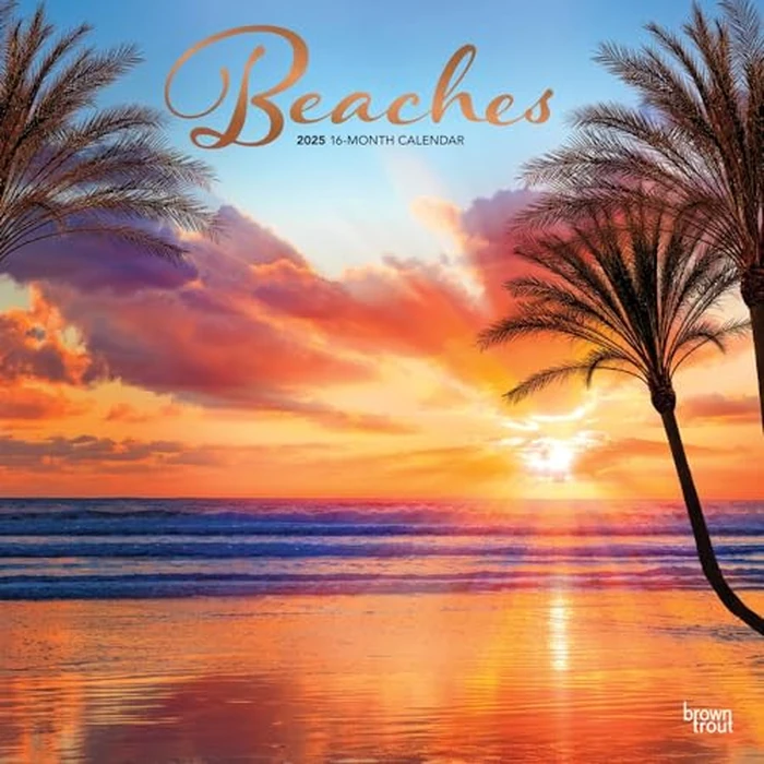 Beaches | 2025 12 x 24 Inch Monthly Square Wall Calendar | Foil Stamped Cover | BrownTrout | Travel Nature Tropical by BrownTrout - Used - Acceptable condition - CA$3.72