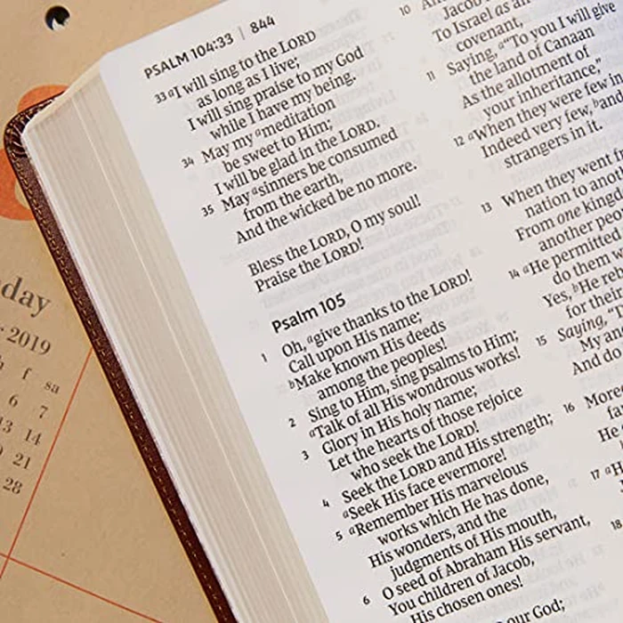 NKJV Holy Bible, Super Giant Print Reference Bible, Blue Leathersoft, 43,000 Cross references, Red Letter, Comfort Print: New King James Version by Thomas Nelson - Image 4