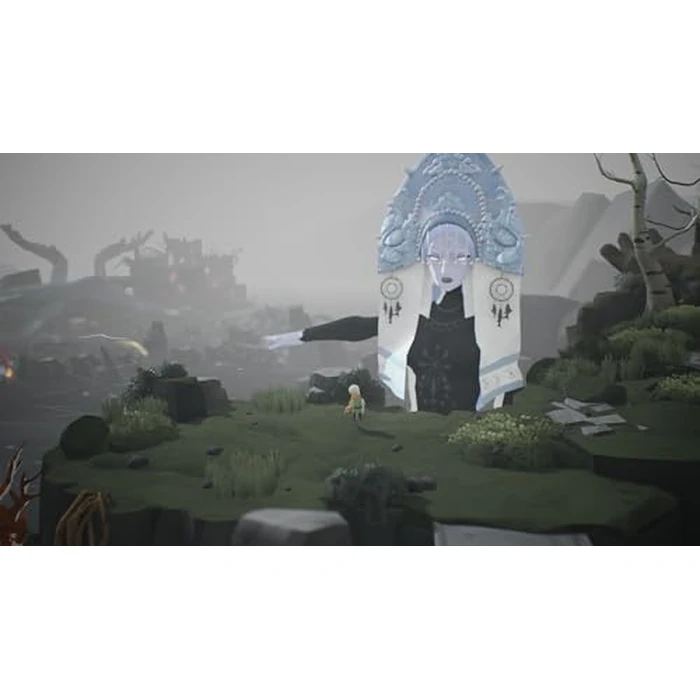 Selfloss PS5 by Maximum Entertainment - Used - Very Good condition