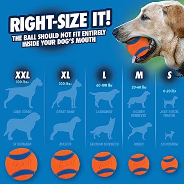 Chuckit! Ultra Ball Dog Toy with Chuckit! Cleaning Bucket, Bouncy Fetch Pet Toys For Dogs 20-60 lbs, Interactive Dog Toys, Durable Rubber, Size Medium, 2.5-inch Diameter, 8-Pack of Balls by Chuckit! - Image 5