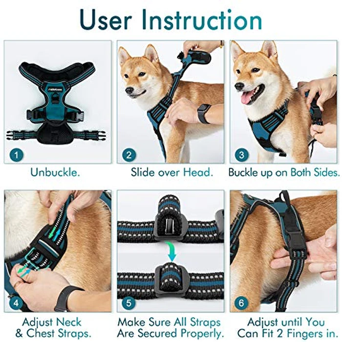 rabbitgoo Dog Harness, No-Pull Pet Harness with 2 Leash Clips, Adjustable Soft Padded Vest, Reflective No-Choke Pet Oxford Vest with Easy Control Handle for Large Dogs, Blue Coral, L by rabbitgoo - Image 9