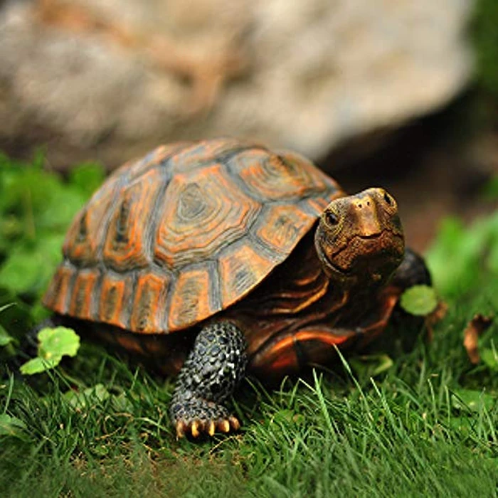 Danmu Realistic Tortoise Garden Statue, Lifelike Resin Tortoise Outdoor Decor for Yard Patio, Weather-Resistant Lawn Art Sculpture (L 12 9/10" x 9 2/5" x 5 1/2") 1 Pack by Danmu - Image 3