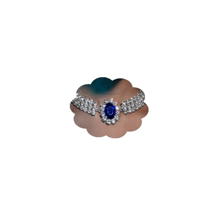 YERTTER Vintage Full Chunky Rhinestone Sapphire Charm Silver Chain Blue Crystal Pendant Collar Choker Necklace Adjustable Chain for Party Music Club Women (Silver 4) by YERTTER - Used - Like New condition - US$14.84