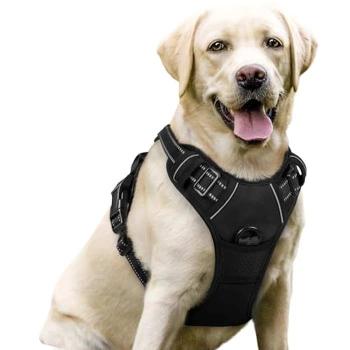 rabbitgoo Dog Harness No Pull with 2 Leash Clips, Adjustable Soft Padded, Reflective Oxford No Choke Pet Vest with Easy Control Handle for Large Dogs, Black, L by rabbitgoo - Image 1