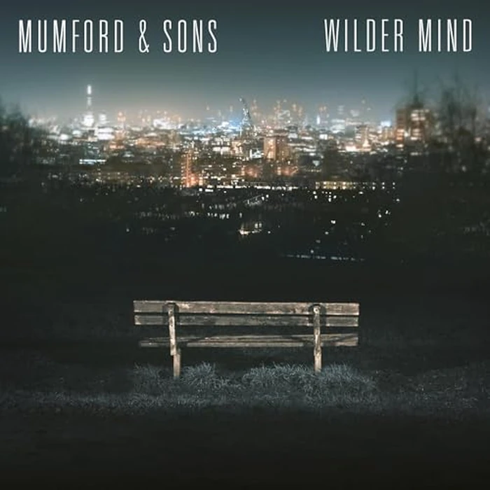 Wilder Mind by Virgin Music - Used - Very Good condition