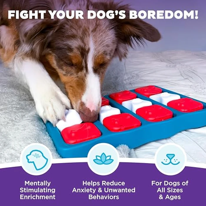 Outward Hound by Nina Ottosson Dog Brick - Interactive Treat Puzzle Enrichment Toy, Level2 Intermediate by Outward Hound - Image 2