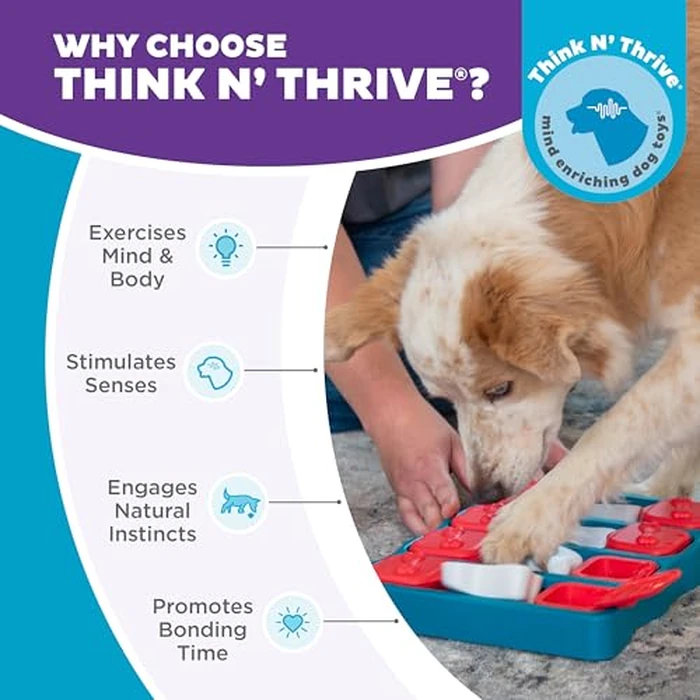 Outward Hound by Nina Ottosson Dog Brick - Interactive Treat Puzzle Enrichment Toy, Level2 Intermediate by Outward Hound - Image 6