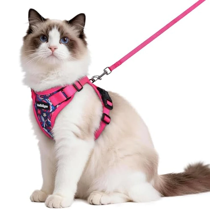 rabbitgoo Cat Harness and Leash for Walking, Escape Proof Soft Adjustable Vest Harnesses for Cats, Easy Control Breathable Reflective Strips Jacket, Coconut Fuchsia,M by rabbitgoo - Used - Like New condition