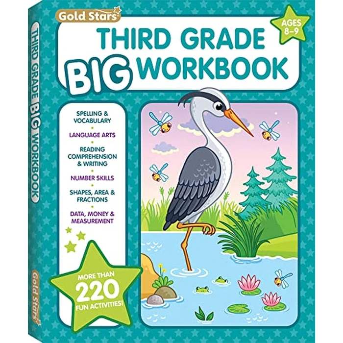 3rd Grade BIG Workbook All Subjects for Kids 8 - 9 includes 220+ Activities, Spelling, Grammar, Reading Comprehension, Writing, Math, and More by Lodi Publishing - Used - Acceptable condition