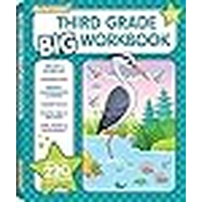 3rd Grade BIG Workbook All Subjects for Kids 8 - 9 includes 220+ Activities, Spelling, Grammar, Reading Comprehension, Writing, Math, and More by Lodi Publishing - Image 2