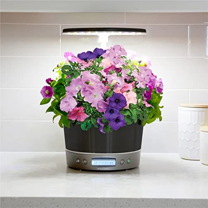 AeroGarden Harvest Elite 360 Indoor Garden Hydroponic System with LED Grow Light and Herb Kit, Holds up to 6 Pods, Platinum by AeroGarden - Image 6