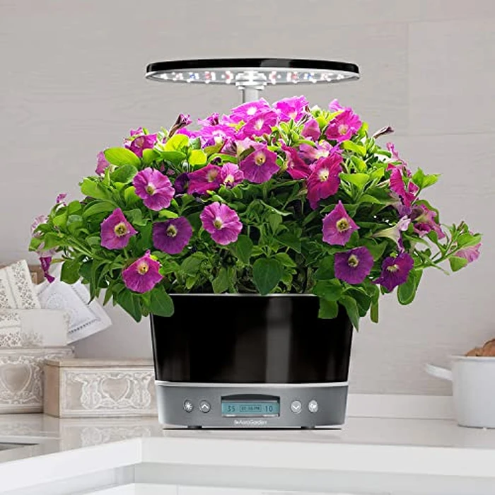 AeroGarden Harvest Elite 360 Indoor Garden Hydroponic System with LED Grow Light and Herb Kit, Holds up to 6 Pods, Platinum by AeroGarden - Image 9
