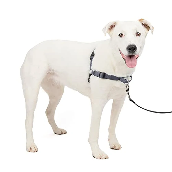 PetSafe EWH-D-HC-M/L-STL Deluxe Easy Walk Harness, Medium/Large, Steel Gray by PetSafe - Used - Like New condition - CA$11.15