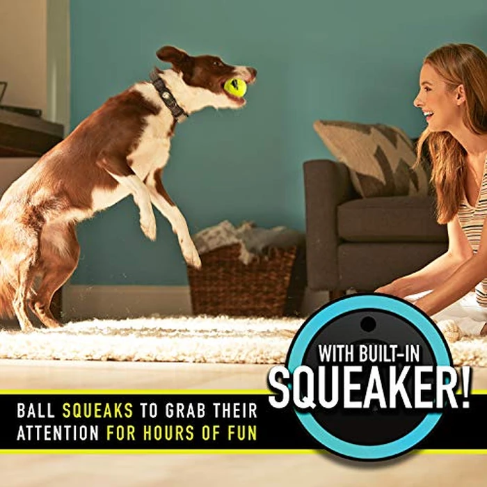Franklin Pet Supply Co. Squeaky Dog Tennis Balls - Ready Set Fetch Dog Toy Tennis Balls with Squeaker - Perfect Pet Toy Fetch Ball for Small, Medium + Large Dogs - 3 Pack by Franklin Sports - Image 2
