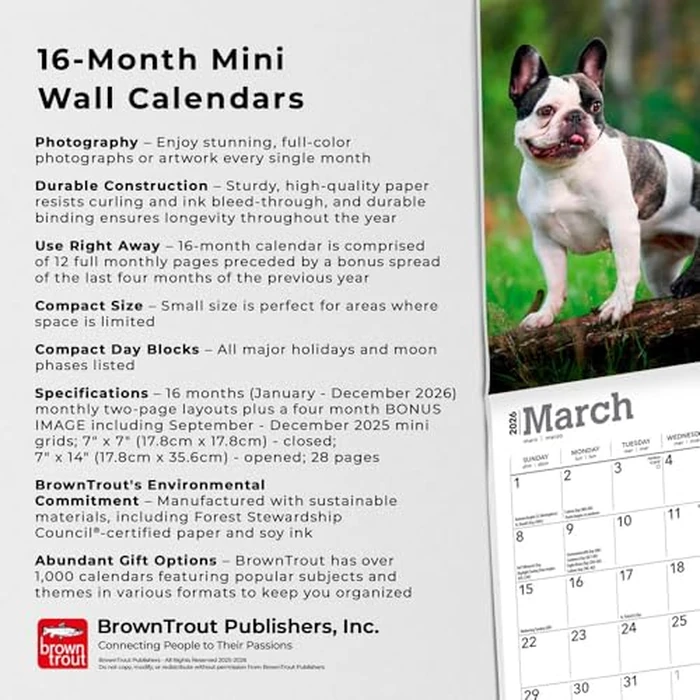French Bulldogs | 2026 7 x 14 Inch (Hanging) Monthly Mini Wall Calendar | BrownTrout | Animals Dog Breeds by BrownTrout Publishers Ltd. - Image 3