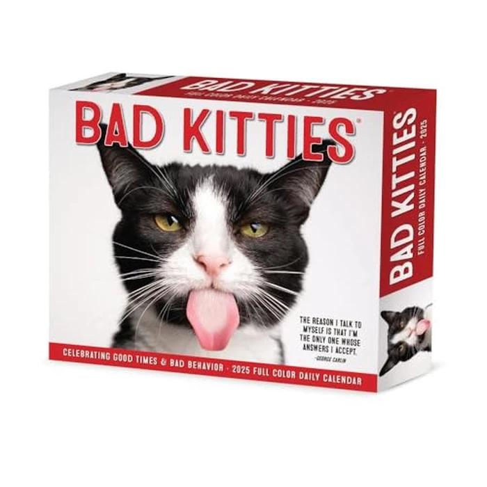 Bad Kitties 2025 6.2" x 5.4" Box Calendar by WILLOW CREEK - Used - Like New condition