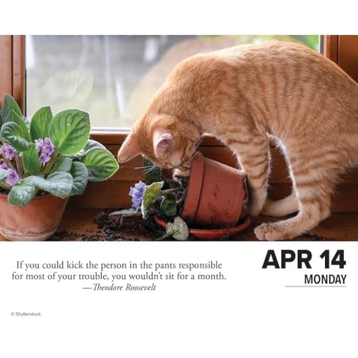 Bad Kitties 2025 6.2" x 5.4" Box Calendar by WILLOW CREEK - Image 3