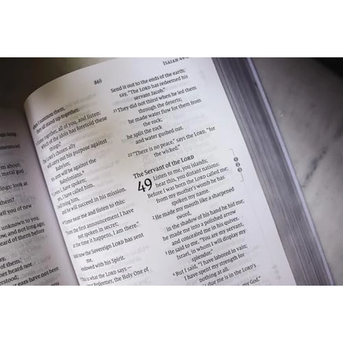 NIV, Celebrate Recovery Study Bible (35th Anniversary Edition), Paperback, Comfort Print by HarperCollins Children's Books - Image 4