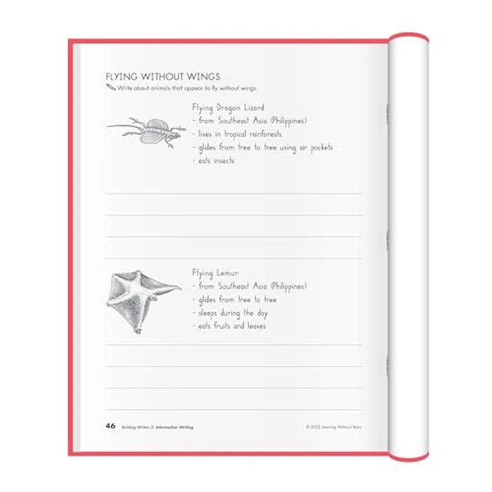 Learning Without Tears, Building Writers D, Student Edition, Age 8+, 3rd Grade+, Handwriting Without Tears, Narrative, Information & Opinion Writing, Fluency, School & Home, Tutoring by Learning Without Tears - Image 4