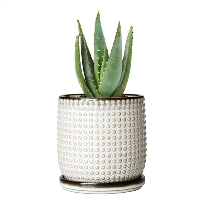 D'vine Dev 4 Inch Ceramic Beaded Stoneware Planter Pot - Flower Pot with Drainage Holes and Saucers for Indoor Succulent Plants or Flowers, Smoked White, 27-C-Z-1 by D'vine Dev - Image 1