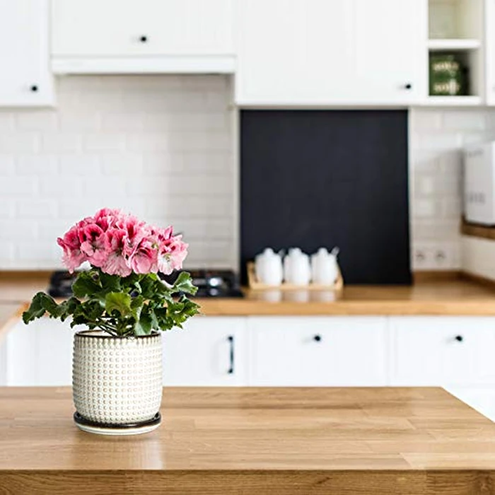 D'vine Dev 4 Inch Ceramic Beaded Stoneware Planter Pot - Flower Pot with Drainage Holes and Saucers for Indoor Succulent Plants or Flowers, Smoked White, 27-C-Z-1 by D'vine Dev - Image 6