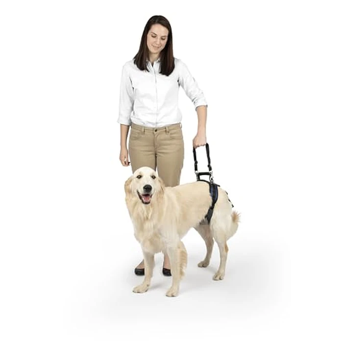 PetSafe Rear Support Harness - Lifting aid with Handle - Great for pet Mobility and Older Dogs - Comfortable, Breathable Material - Easy to Adjust - Large, CareLift by PetSafe - Used - Acceptable condition - CA$19.93