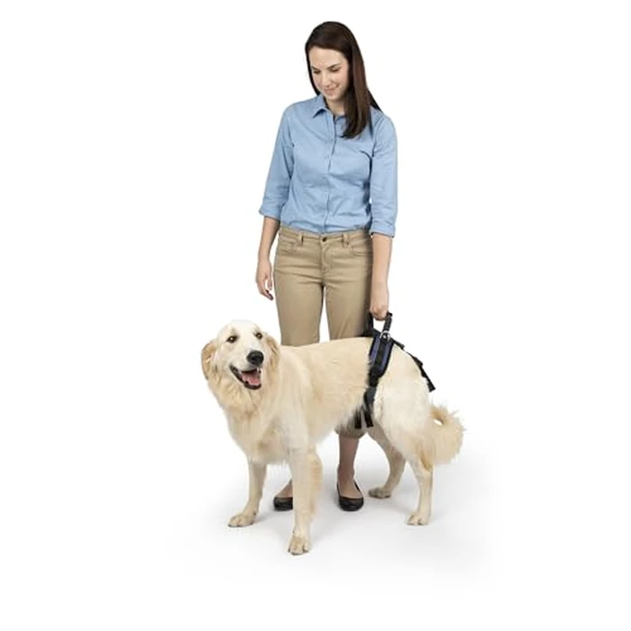PetSafe Rear Support Harness - Lifting aid with Handle - Great for pet Mobility and Older Dogs - Comfortable, Breathable Material - Easy to Adjust - Large, CareLift by PetSafe - Image 2
