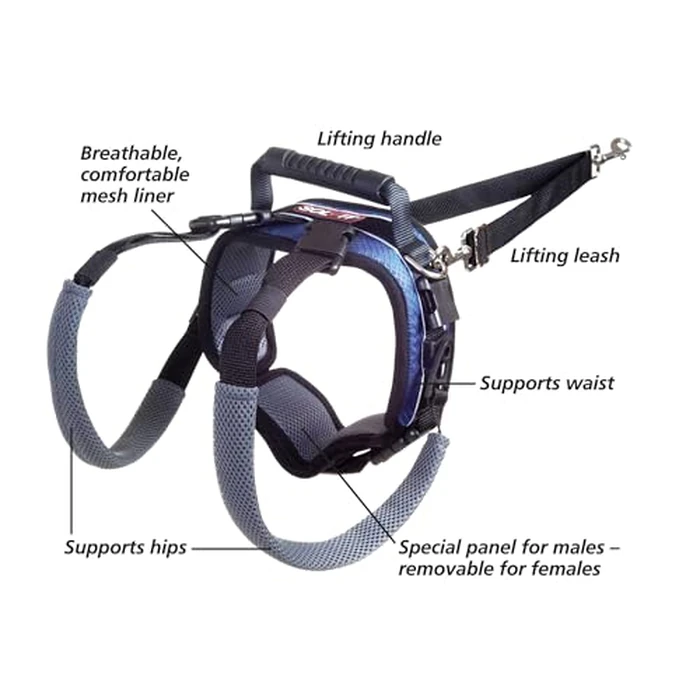 PetSafe Rear Support Harness - Lifting aid with Handle - Great for pet Mobility and Older Dogs - Comfortable, Breathable Material - Easy to Adjust - Large, CareLift by PetSafe - Image 4