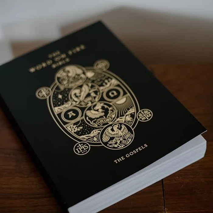 The Word on Fire Bible (Volume I): The Gospels (Paperback) (Word on Fire Bible Series) by Word on Fire - Image 2