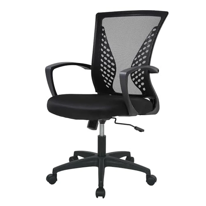 FDW Home Office Chair Mid Back PC Swivel Lumbar Support Adjustable Desk Task Computer Ergonomic Comfortable Mesh Chair with Armrest (Black) by FDW - Image 1