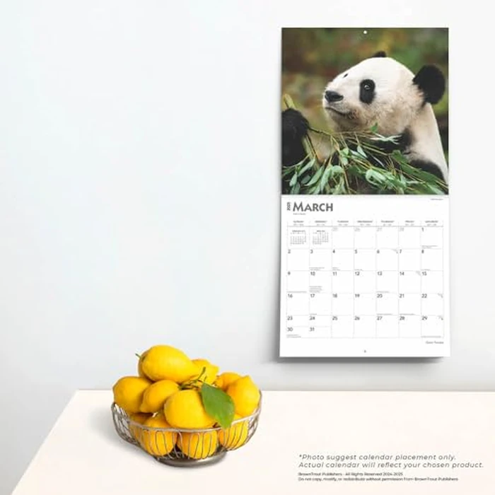 Giant Pandas | 2025 12 x 24 Inch Monthly Square Wall Calendar | BrownTrout | Wildlife Zoo Animals Bears by BrownTrout - Image 3