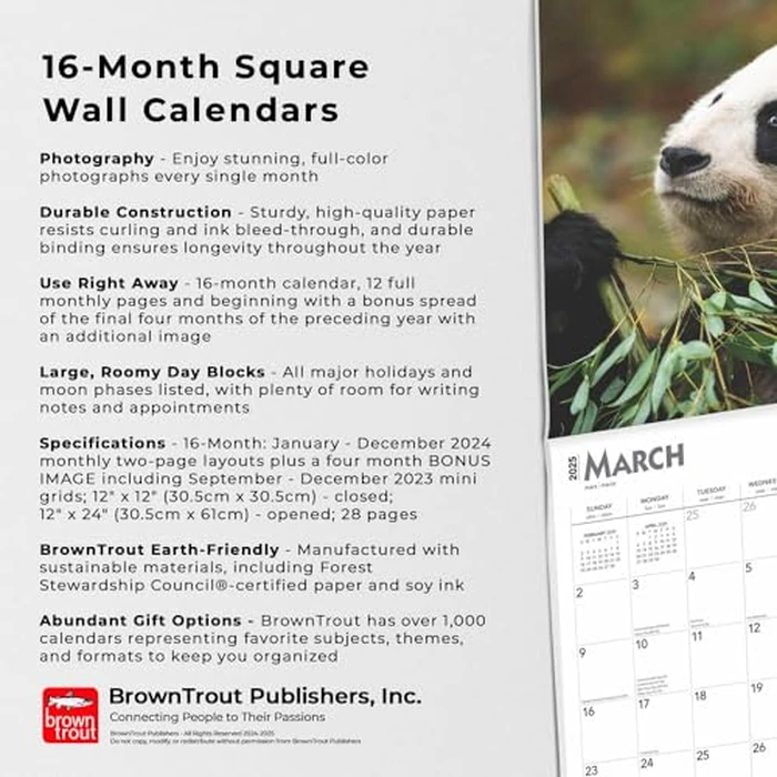 Giant Pandas | 2025 12 x 24 Inch Monthly Square Wall Calendar | BrownTrout | Wildlife Zoo Animals Bears by BrownTrout - Image 4